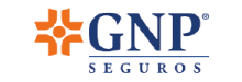 GNP SEGUROS